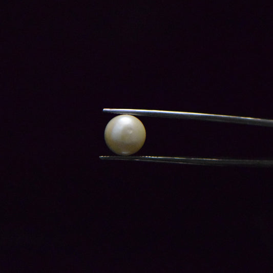 Fresh Water Pearl - 7.06 Carat