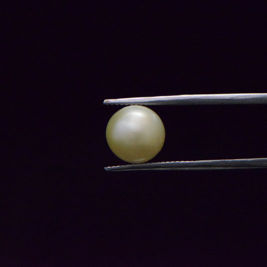 South Sea Pearl - 6.52 Carat