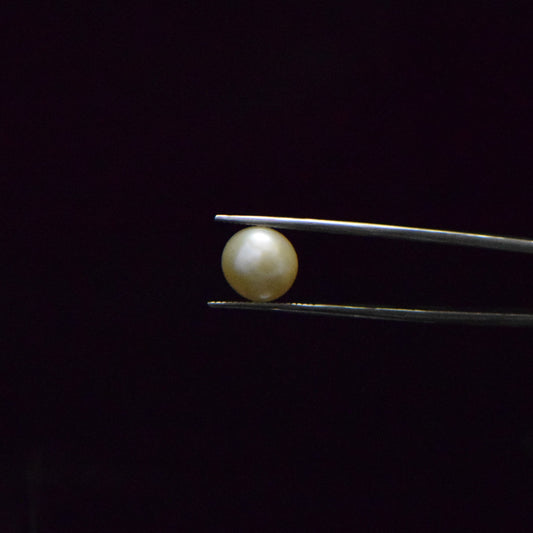 Fresh Water Pearl - 6.37 Carat