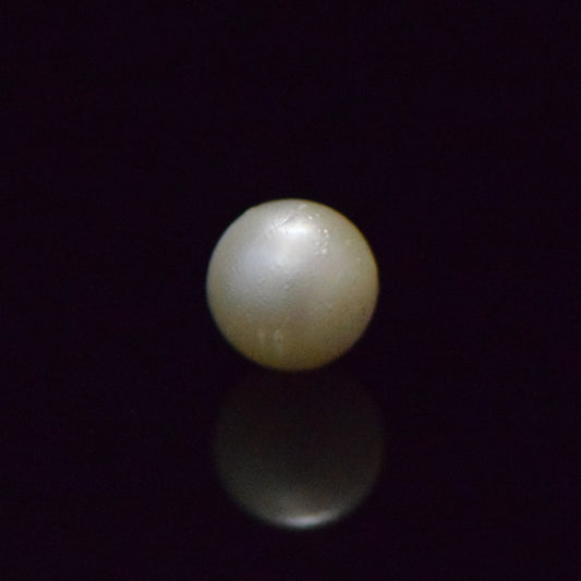 South Sea Pearl - 7.22 Carat