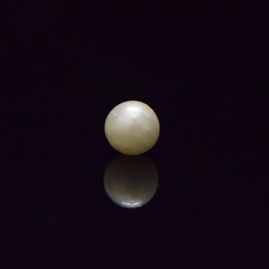 South Sea Pearl - 6.53 Carat