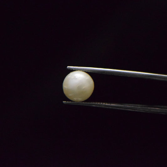 South Sea Pearl - 6.53 Carat
