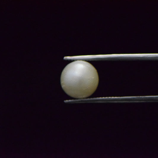 South Sea Pearl - 7.22 Carat