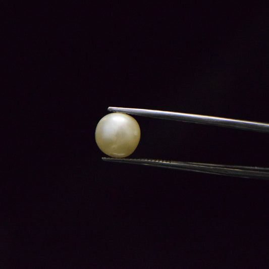 South Sea Pearl - 6.78 Carat