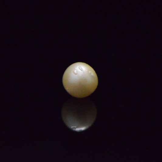 South Sea Pearl - 7.52 Carat