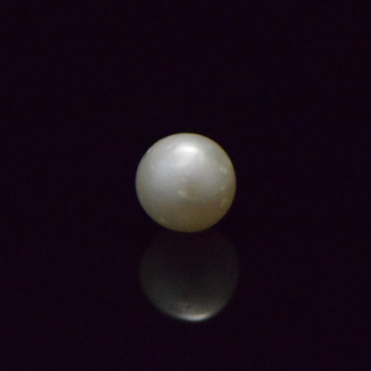 South Sea Pearl - 5.81 Carat