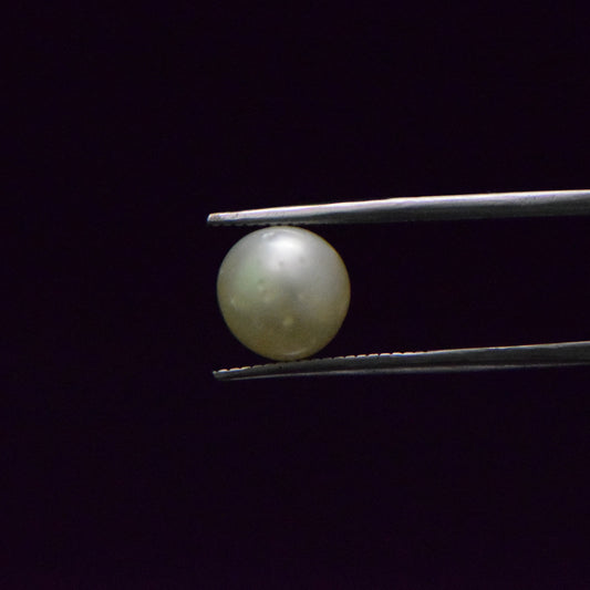 South Sea Pearl - 5.81 Carat