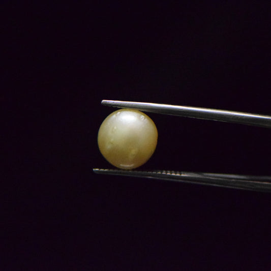 South Sea Pearl - 7.52 Carat