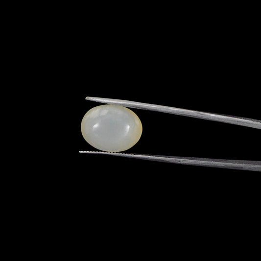 Moonstone - 11.4 Carat