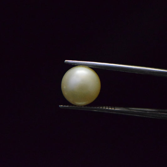 South Sea Pearl - 8.49 Carat