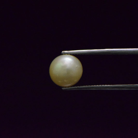 South Sea Pearl - 6.41 Carat