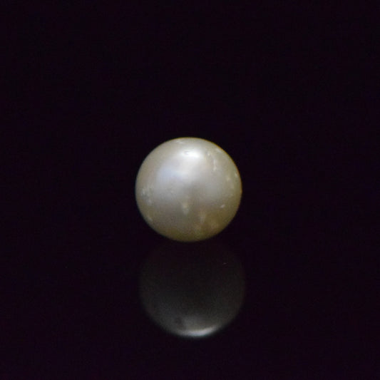 South Sea Pearl - 7.6 Carat