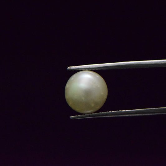South Sea Pearl - 7.6 Carat