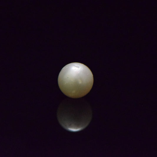 South Sea Pearl - 7.67 Carat