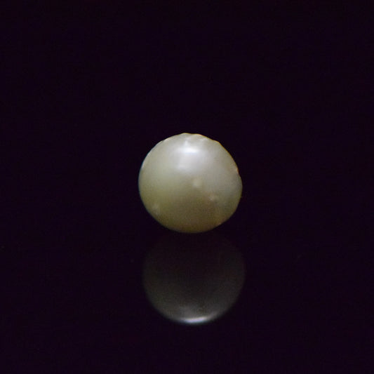 South Sea Pearl - 7.51 Carat