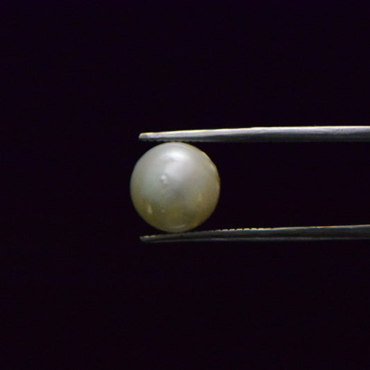 South Sea Pearl - 7.51 Carat