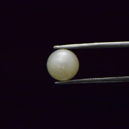 South Sea Pearl - 7.25 Carat