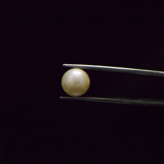 South Sea Pearl - 8.57 Carats