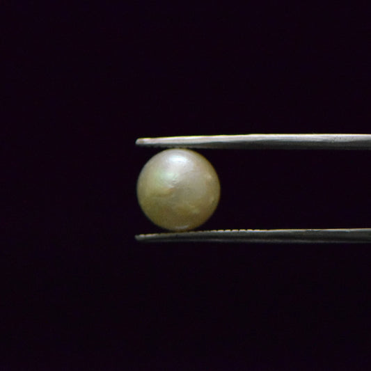 South Sea Pearl - 5.62 Carat