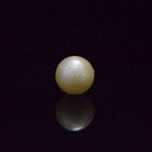 South Sea Pearl - 6.74 Carat