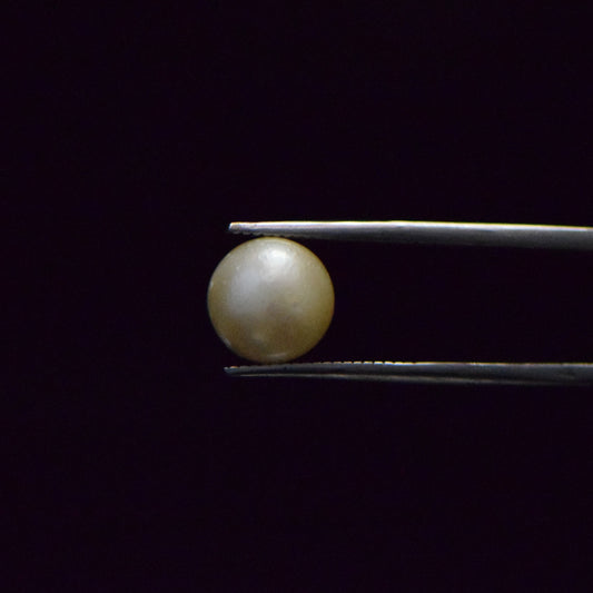 South Sea Pearl - 6.74 Carat