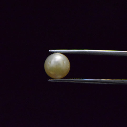 South Sea Pearl - 5.83 Carat