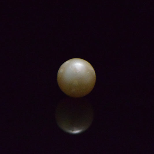 South Sea Pearl - 8.43 Carat