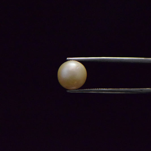 South Sea Pearl - 8.43 Carat