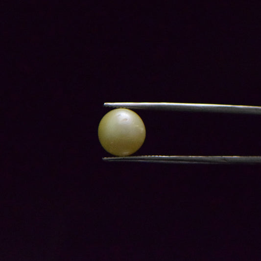 South Sea Pearl - 8.45 Carat