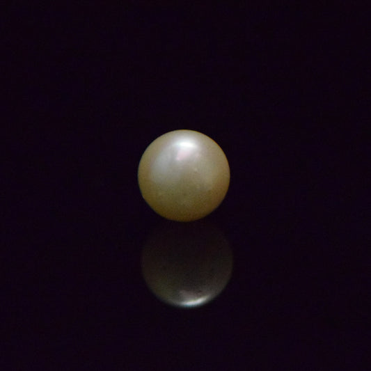 South Sea Pearl - 6.42 Carat