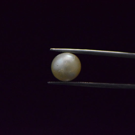 South Sea Pearl - 8.32 Carat