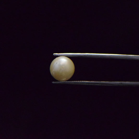 South Sea Pearl - 6.42 Carat