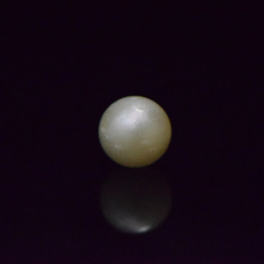 South Sea Pearl - 8.36 Carat