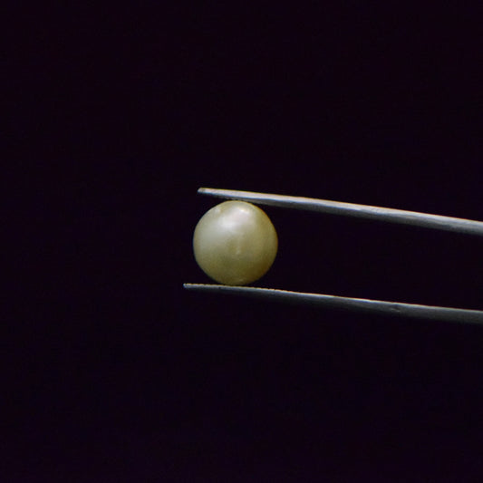 South Sea Pearl - 8.57 Carat