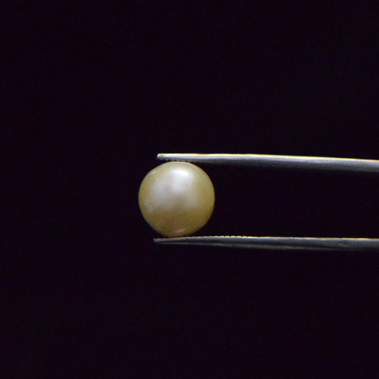 South Sea Pearl - 9.11 Carat