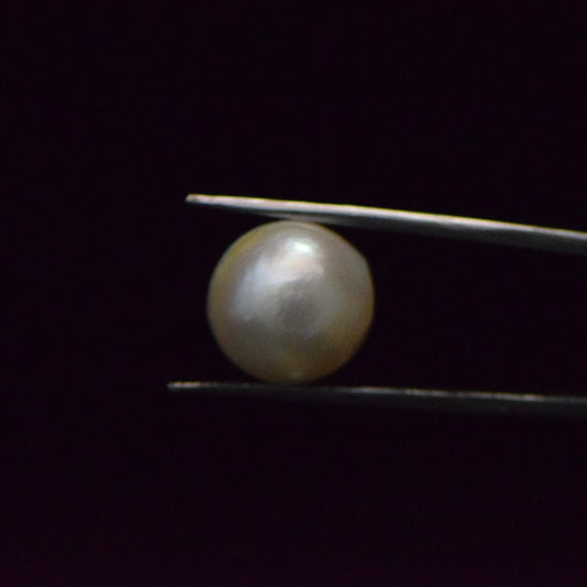 Fresh Water Pearl - 15.13 Carat