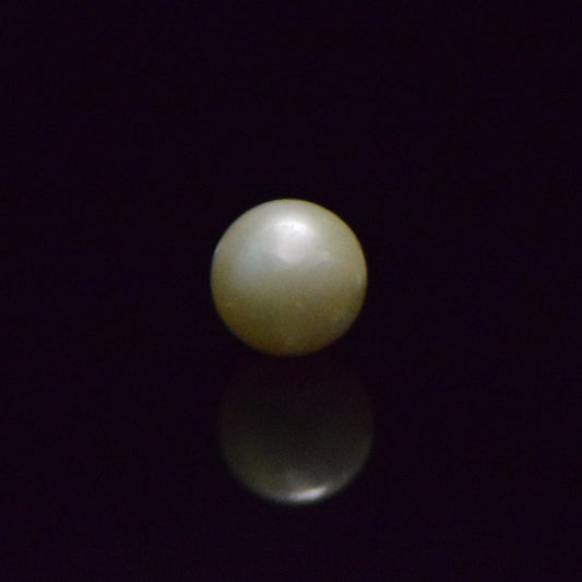 South Sea Pearl - 9.28 Carat
