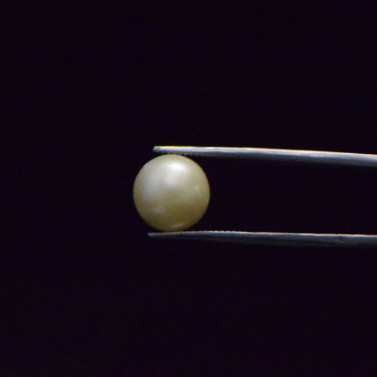 South Sea Pearl - 9.28 Carat