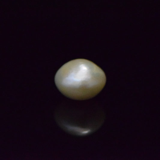 Fresh Water Pearl - 14.59 Carat