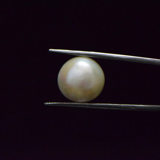 Fresh Water Pearl - 14.59 Carat