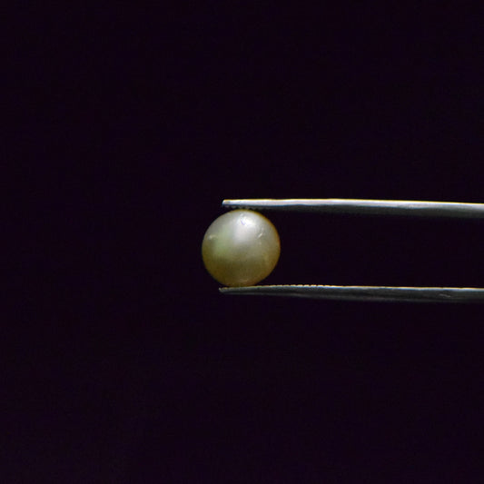 South Sea Pearl - 5.76 Carat