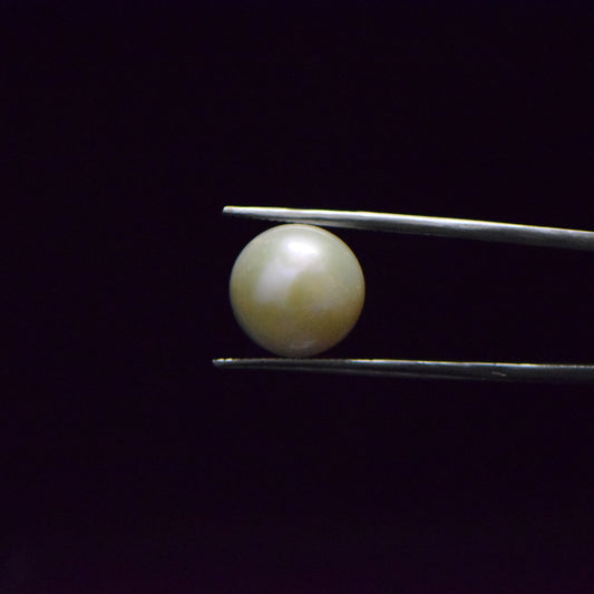 Fresh Water Pearl - 12.76 Carat