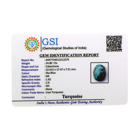 Irani Turquoise - 24.80 Carat / AA-Quality