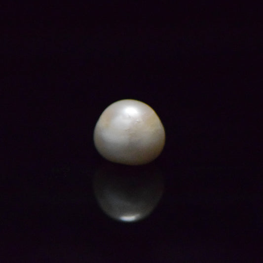 Fresh Water Pearl - 12.73 Carat