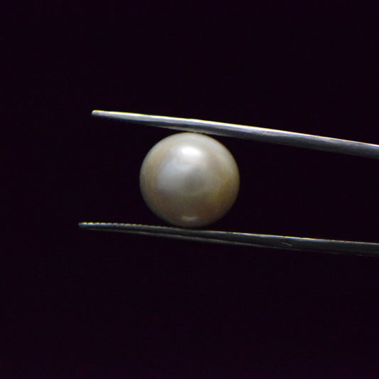 Fresh Water Pearl - 12.73 Carat