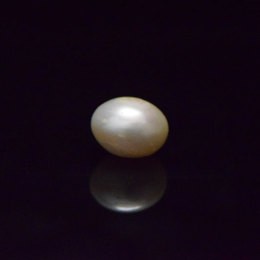Fresh Water Pearl - 14.69 Carat