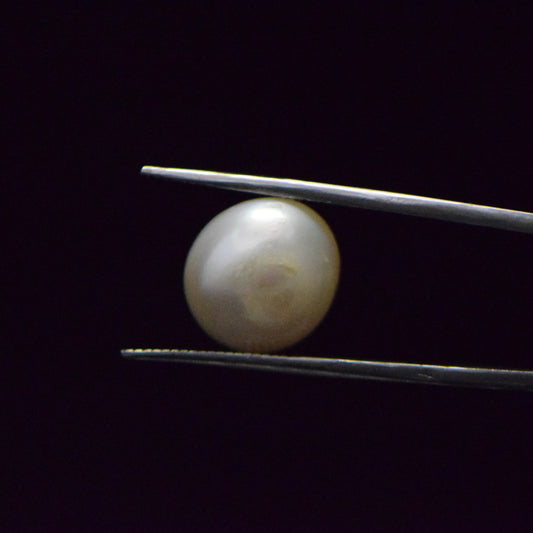 Fresh Water Pearl - 14.69 Carat