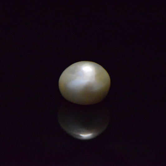 Fresh Water Pearl - 14.54 Carat