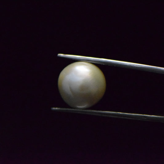 Fresh Water Pearl - 14.54 Carat