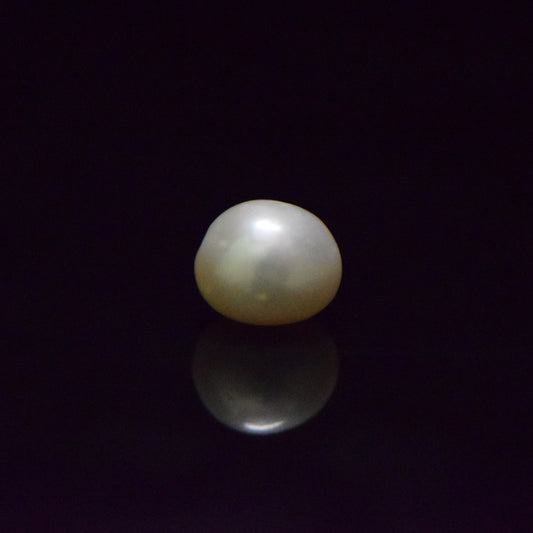 Fresh Water Pearl - 13.03 Carat